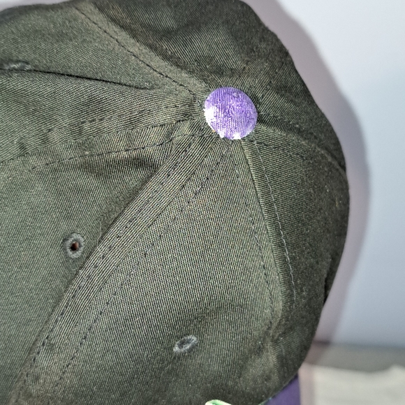 Vtg 90s Devil Rays autographed hat - Picture 2 of 4